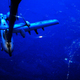 Illustration for article titled The Air Force Initiative To Replace The A-10 Warthog Is Nothing But Vaporware
